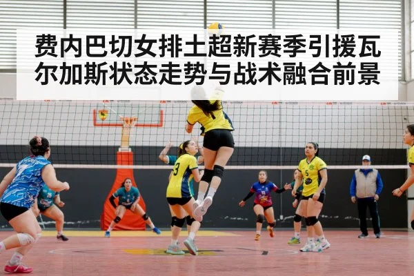 volleyball match action indoor